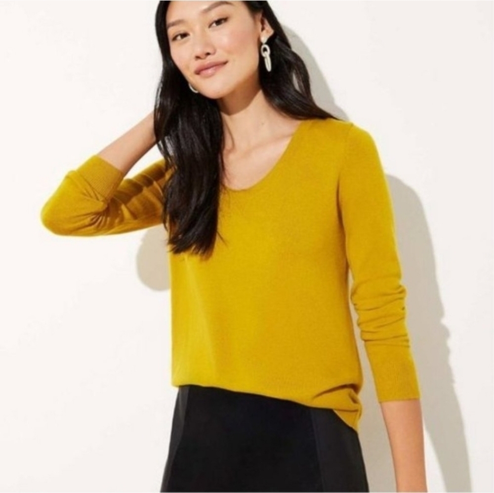 LOFT Luxe Knit Gold Shirttail Hem Scoopneck Long Sleeve Sweater Size Small EUC
